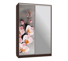 Шкаф-купе Гранд 9-600 78