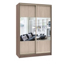 Шкаф-купе Стандарт Комбо 2.1
