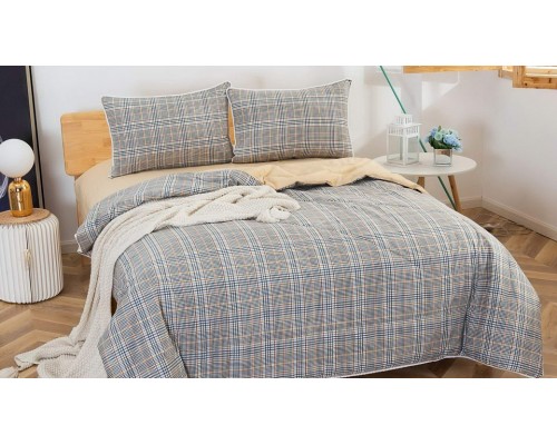 Постельное белье с одеялом евростандарт Дарси №63