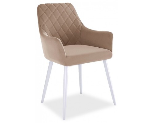 Стул DikLine 241