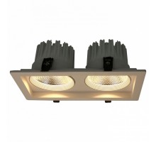 Встраиваемый светильник Arte Lamp Privato A7018PL-2WH