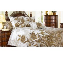 Постельное белье евростандарт Музей-4
