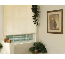 Штора рулонная (83х170 см) Эскар