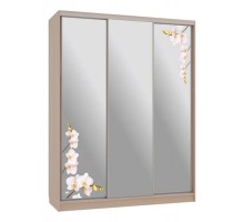 Шкаф-купе Бассо 4-600 орхидеи