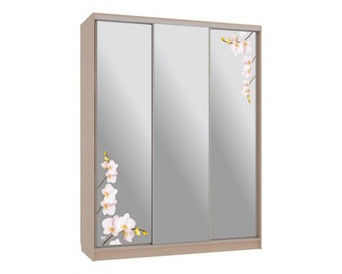 Шкаф-купе Бассо 4-600 орхидеи