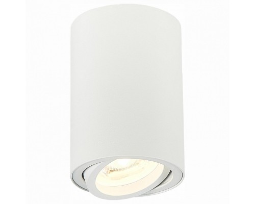 Спот ST-Luce Torus