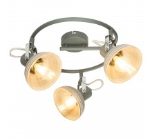 Спот Globo Daisy 54658-3