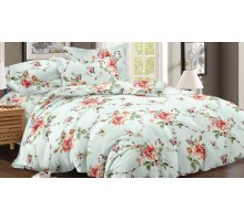 Постельное белье семейное Art Color 049-AC