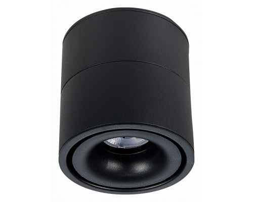 Светильник на штанге ST-Luce ST652 