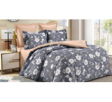 Постельное белье евростандарт CL-379