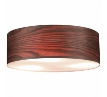 Накладной светильник Paulmann allCeiling 79687