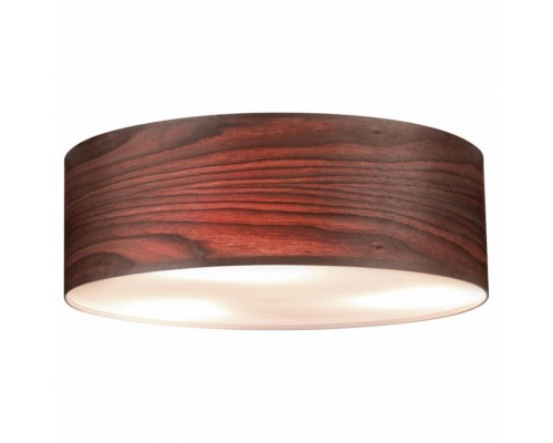 Накладной светильник Paulmann allCeiling 79687