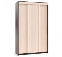 Шкаф-купе Контур ШР-156.2