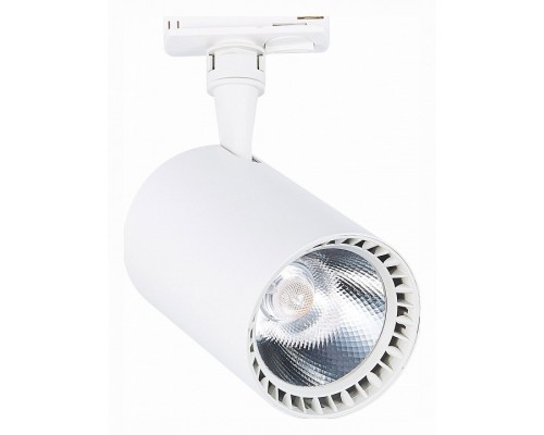 Светильник на штанге ST-Luce Cami