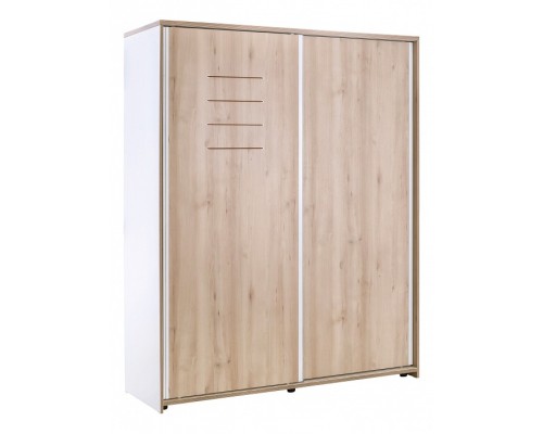Шкаф-купе Dynamic 20.50.1003.00