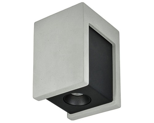 Накладной светильник Loft it Architect OL1073-GB