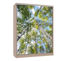 Шкаф-купе Бассо 7-600 57