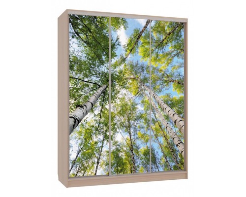 Шкаф-купе Бассо 7-600 57