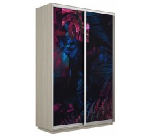 Шкаф-купе Экспресс Фото дуо 1004 1400x600x2400