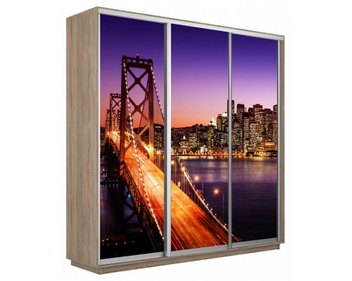 Шкаф-купе Экспресс Фото трио 1007 2100x600x2200