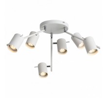 Потолочная люстра ST-Luce Fanale 