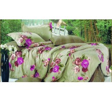 Постельное белье евростандарт Вальтери С-209