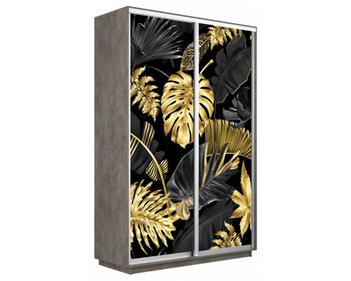 Шкаф-купе Экспресс Фото дуо 1003 1600x450x2400