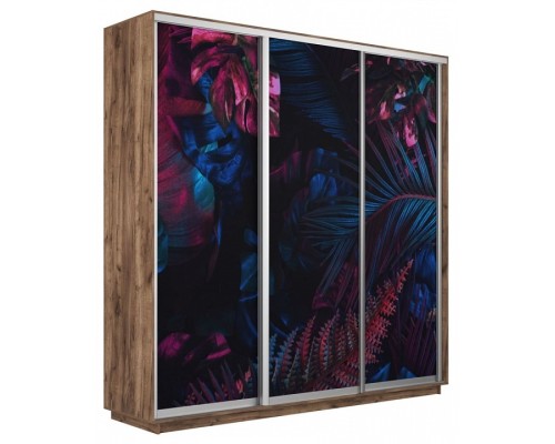 Шкаф-купе Экспресс Фото трио 1004 2400x600x2200