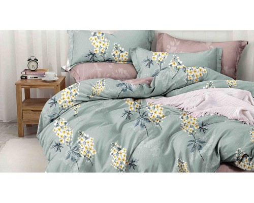 Постельное белье полутораспальное Pure Cotton 192-PC