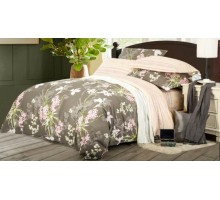 Постельное белье полутораспальное B-175