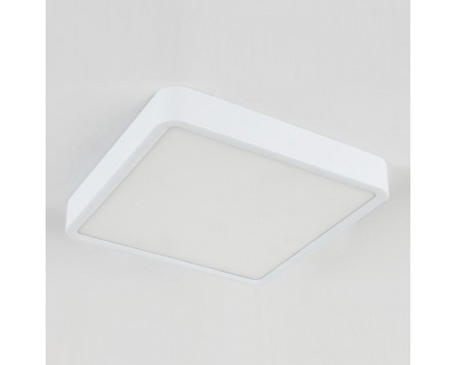 Накладной светильник Elektrostandard DLR034 a043017