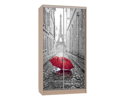 Шкаф-купе Рио 7-600 08