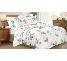 Постельное белье семейное Art Color 079-AC