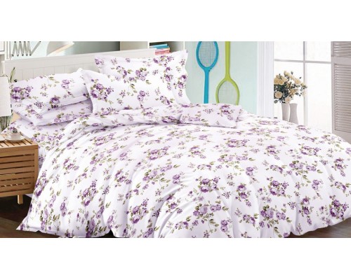 Постельное белье семейное Art Color 048-AC