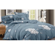 Постельное белье евростандарт Art Color 046-AC