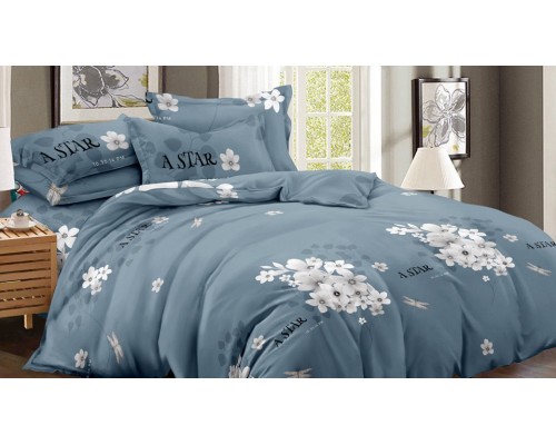 Постельное белье евростандарт Art Color 046-AC