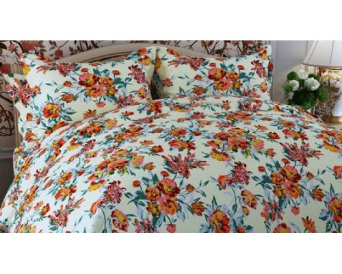 Постельное белье двуспальное Дизайн 231