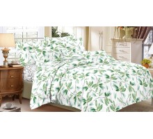 Постельное белье семейное Art Color 069-AC