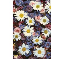 Ковер интерьерный (160x230 см) Hunnu