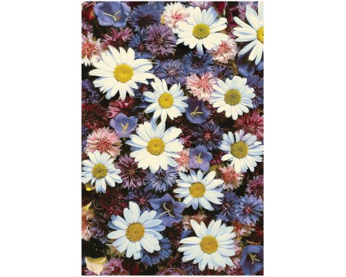 Ковер интерьерный (160x230 см) Hunnu