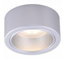 Накладной светильник Arte Lamp Effetto A5553PL-1GY