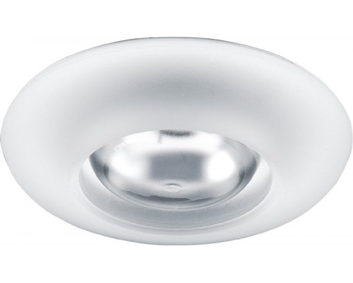 Плафон стеклянный Imex  IL.0009.2215