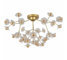 Подвесная люстра F-promo Clementina 2629-36U