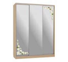 Шкаф-купе Бассо 4-600 розы