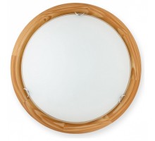 Накладной светильник TopLight Hillary TL9023Y-02PN