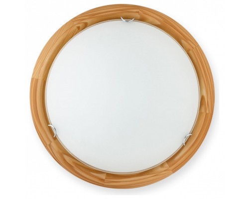 Накладной светильник TopLight Hillary TL9023Y-02PN