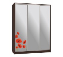 Шкаф-купе Бассо 4-600 маки