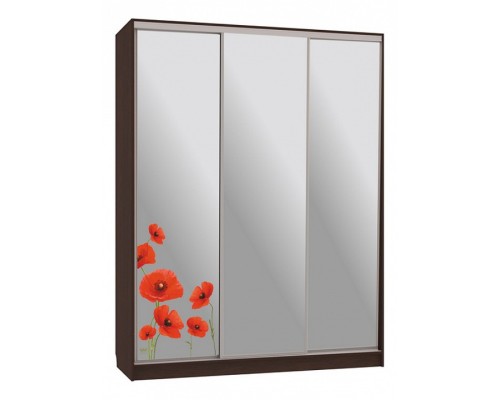 Шкаф-купе Бассо 4-600 маки