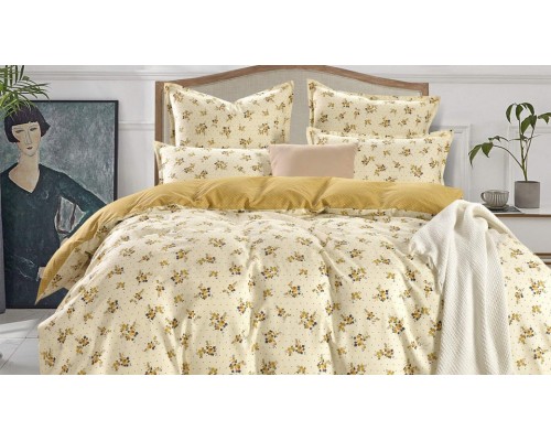 Постельное белье евростандарт Бони