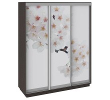 Шкаф-купе Румер